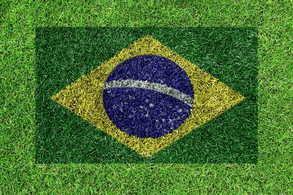 Flagge Brasiliens als Gemälde auf grünem Gras — Stockfoto