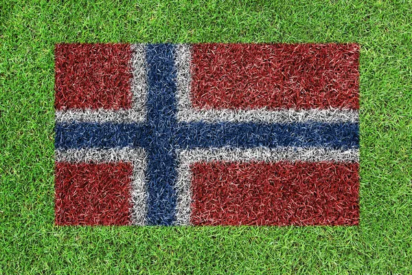 Flagga Norge som en målning på grönt gräs — Stockfoto