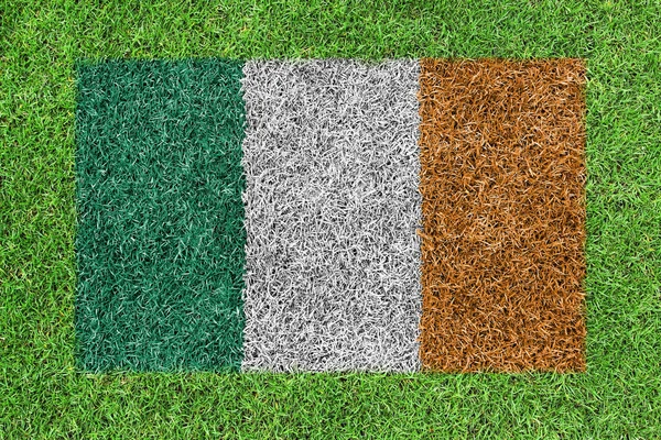 Flag Republic of Ireland as a painting on green grass — Stock Photo, Image