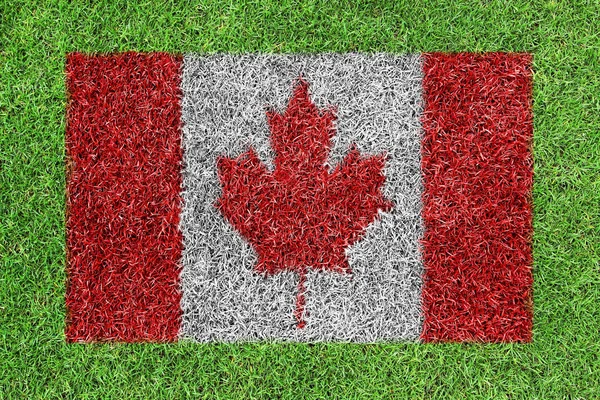 Bandera de Canadá como pintura sobre hierba verde —  Fotos de Stock