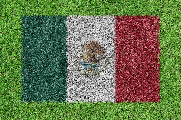 Bandera México como una pintura sobre hierba verde —  Fotos de Stock