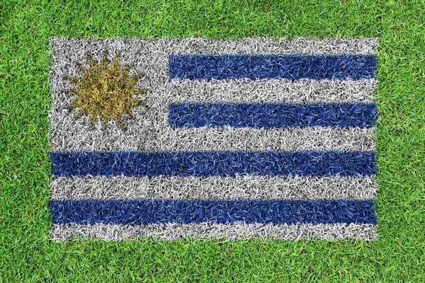 Flag Uruguay as a painting on green grass — Stock Photo, Image