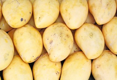 Tay olgun mango kazık Market