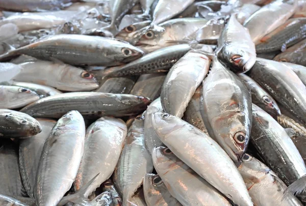 Fresh fish seafood in market close seup background, Asia, Thailan — стоковое фото