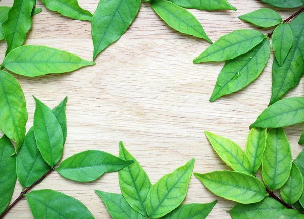 Hojas verdes en el fondo de madera — Foto de Stock