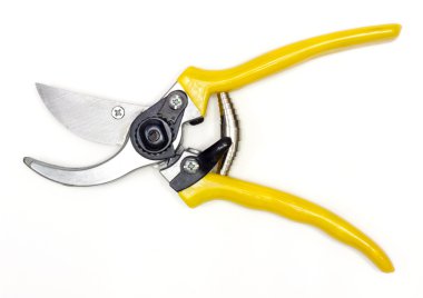 beyaz zemin üzerinde kesme dalları için Bahçe secateurs