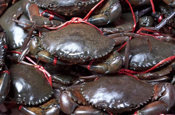 Levande krabbor i behållaren av skaldjursrestaurang — Stockfoto