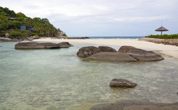 Tropisch strand met uitzicht op zee — Stockfoto