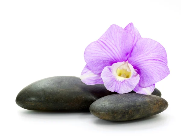 Stones and orchid on the white background — Stock Photo, Image