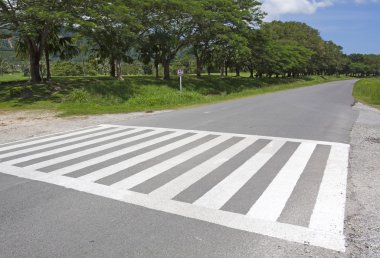Zebra trafik yürüyüş yolu, mavi gökyüzü ile yol çapraz