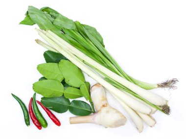 Tay tom yam çorba otlar