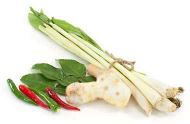 Tay tom yam çorba otlar