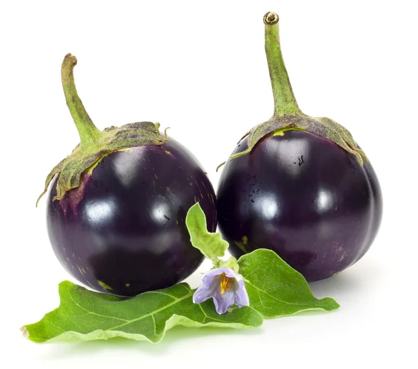 Deux aubergines rondes isolées sur fond blanc — Photo