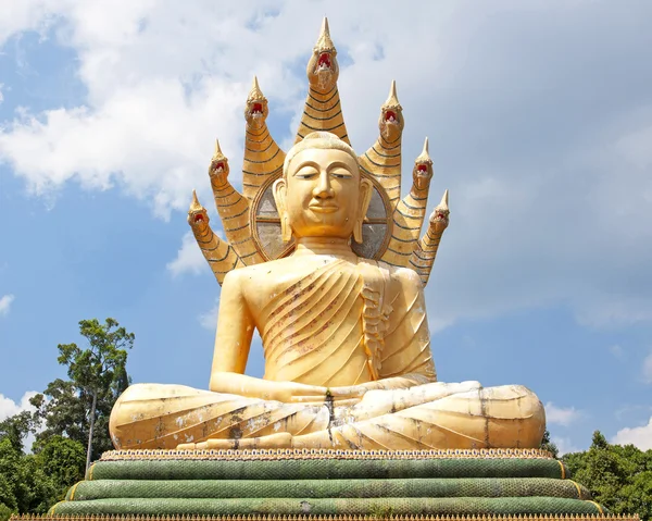 Statua di Buddha nel tempio di Phangnga, Thailandia — Foto Stock