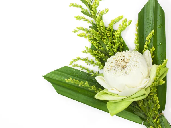 Lotusbloem voor boeddhistische religieuze ceremonie . — Stockfoto