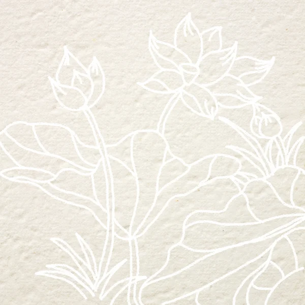 dut kağıt üzerine çizim lotus çiçeği