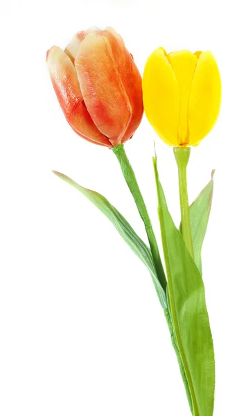 Tulipán artificial sobre fondo blanco — Foto de Stock