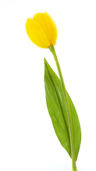 Umělé tulipán na bílém pozadí — Stock fotografie