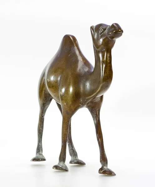 Estatuilla de camello de bronce sobre blanco — Foto de Stock