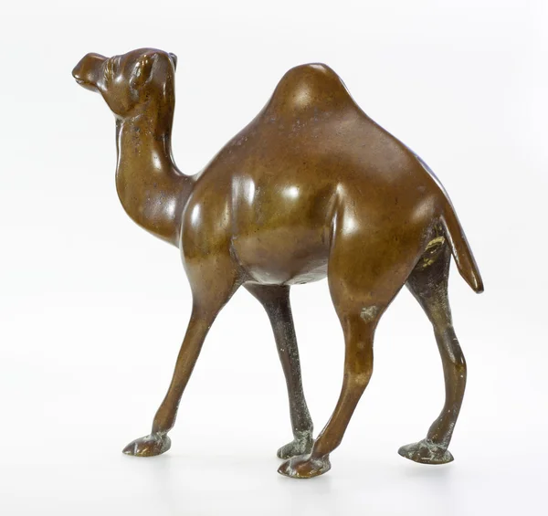 Статуетка верблюда з бронзи на білому — стокове фото