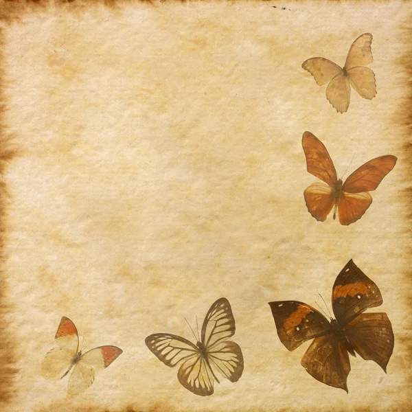 Старая бумага с бабочками — стоковое фото