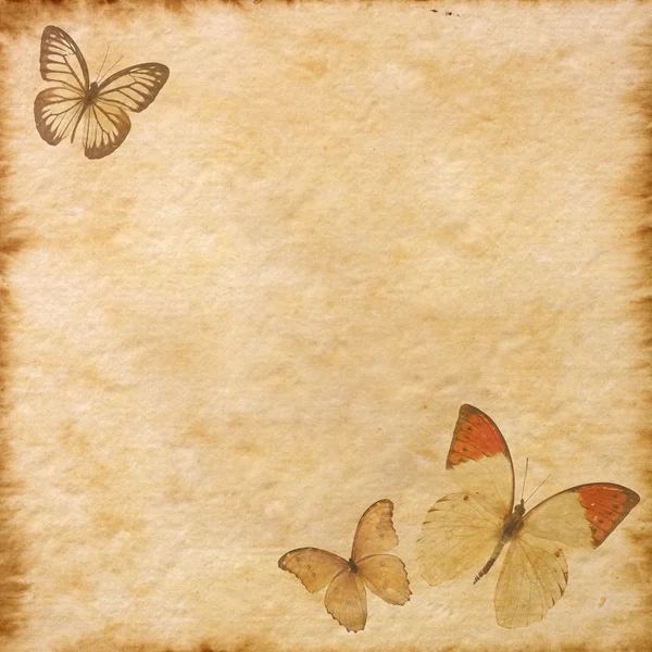 Papel velho com borboletas — Fotografia de Stock