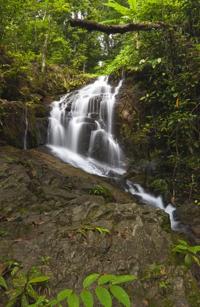 Tonsai wodospad phuket, Tajlandia — Zdjęcie stockowe