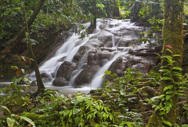 derin orman şelale phangnga Tayland