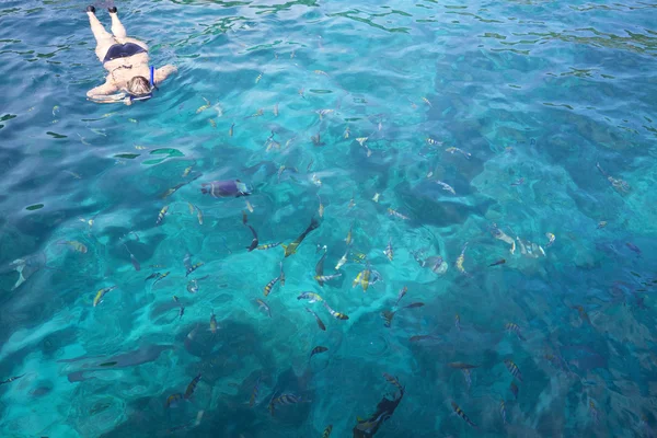Snorkeling en mar tropical transparente en similar isla tailandesa —  Fotos de Stock