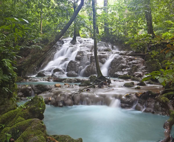 Глубокий лесной водопад в Таиланде — стоковое фото