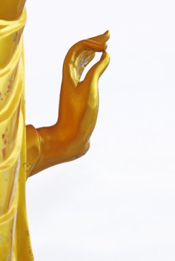 el altın buddha beyaz zemin üzerine.