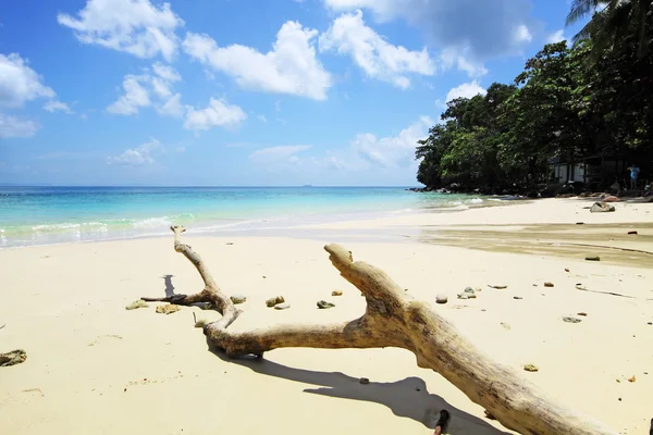 Praia e mar tropical — Fotografia de Stock