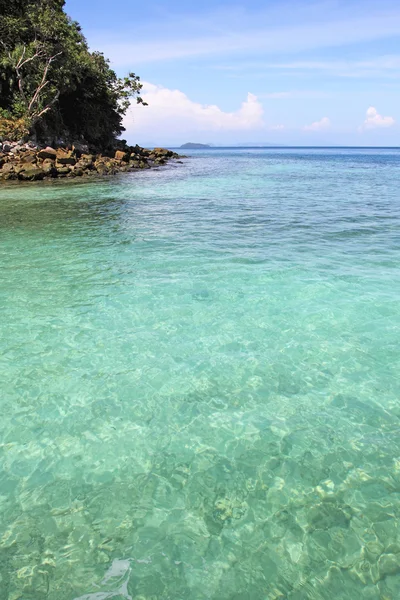 Palmas na costa tropical no mar do caribe, ilha — Fotografia de Stock