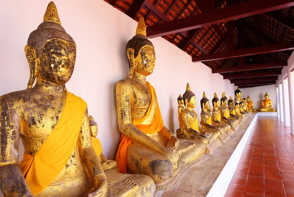 Rad av heliga buddha bilder i surat thani, thailand — Stockfoto