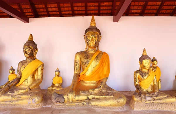 Священные изображения Будды в Сурат-тхани, Таиланд — стоковое фото