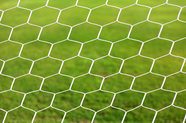 close up on white football net, green grass