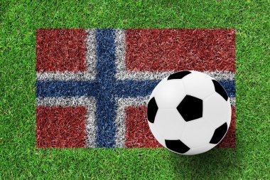 Yeşil çimenlerin üzerinde bir resim olarak Norveç bayrağı futbol topu