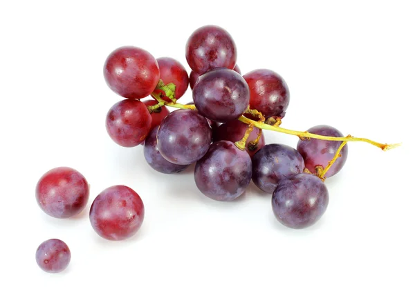 Uva roja aislada sobre blanco — Foto de Stock