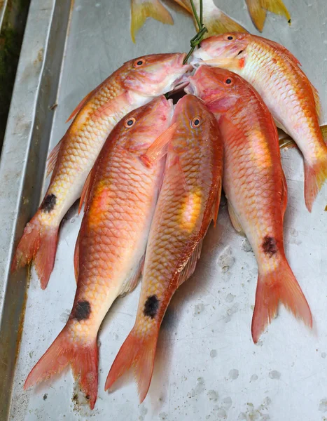Färsk fisk skaldjur i marknaden — Stockfoto