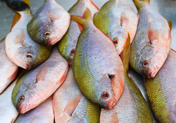 Taze balık deniz ürünleri pazarında — Stok fotoğraf