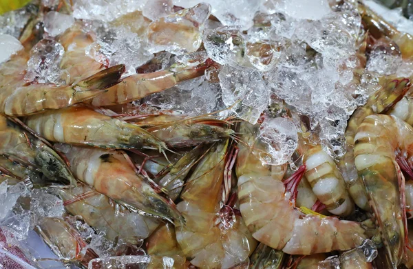 Camarão fresco no gelo no mercado asiático, Tailândia — Fotografia de Stock