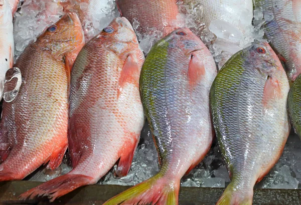 Свежая рыба морепродукты на рынке — стоковое фото