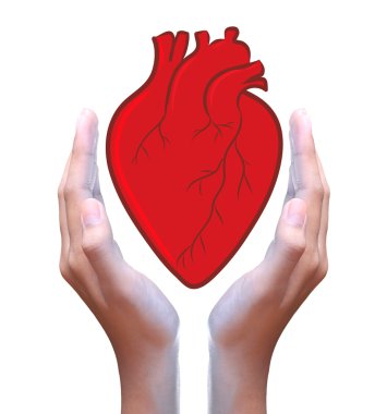 Kırmızı Kalp Elde