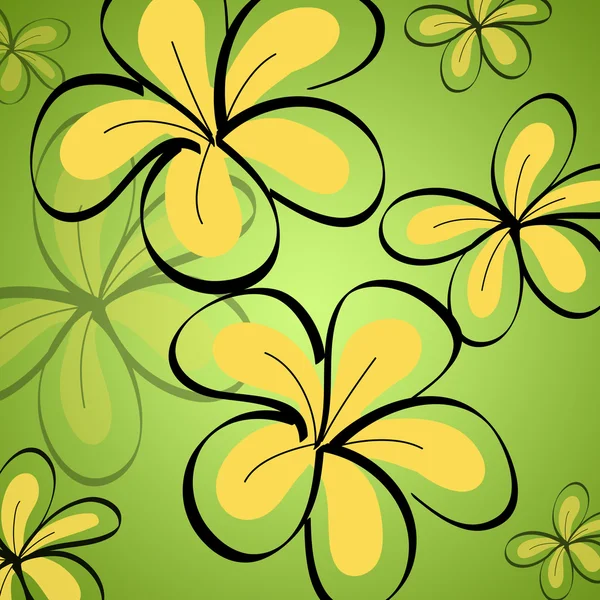 Drawing Frangipani background — Stock Photo, Image