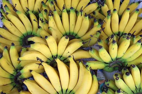 Banana dolce mano — Foto Stock