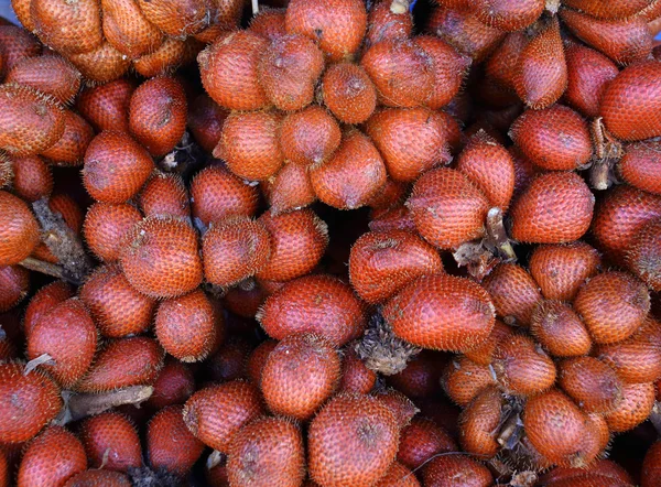 Salacca Frucht süß und sauer, Früchte aus Thailand. — Stockfoto