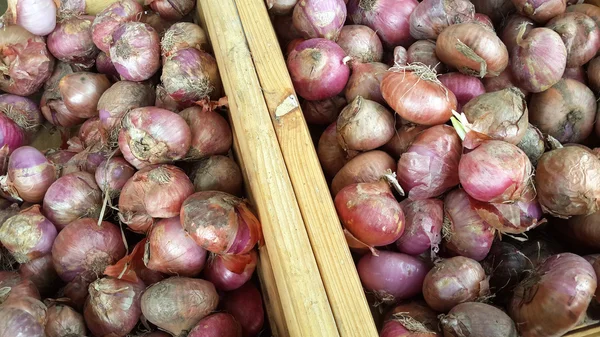 Cebollas rojas en abundancia — Foto de Stock