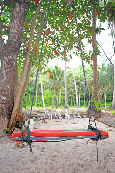 Swings and palm on the sand tropical beach. — Stock Photo, Image