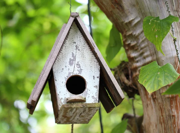 Old blue bird house — Stock Photo, Image