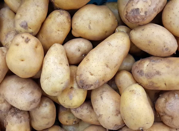 Patates sebze gıda pazarında desen ve arka plan — Stok fotoğraf